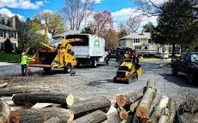 Best Lawn Renovation and Restoration  in Brillion, WI