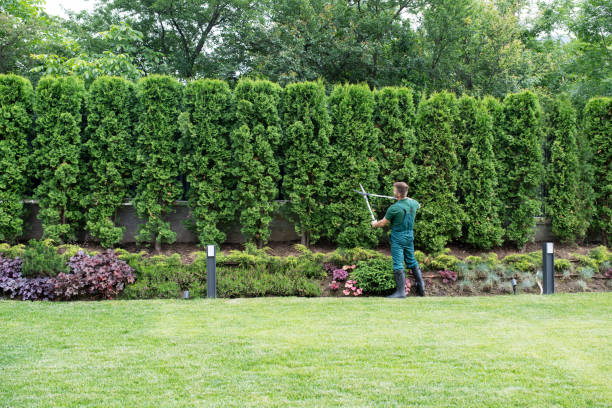 Best Utility Line Clearance  in Brillion, WI