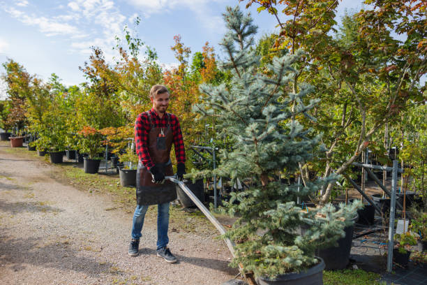 Best Soil Testing and Treatment  in Brillion, WI